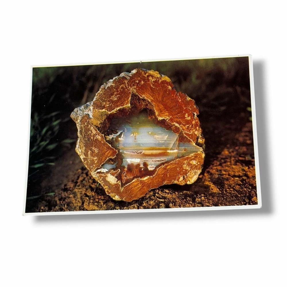 Postcard Thunderegg Oregon State Rock Natural Stone Art 4x6 Continental H793